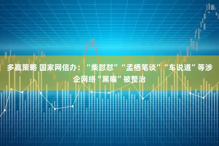 多赢策略 国家网信办：“柴怼怼”“孟栖笔谈”“车说道”等涉企网络“黑嘴”被整治