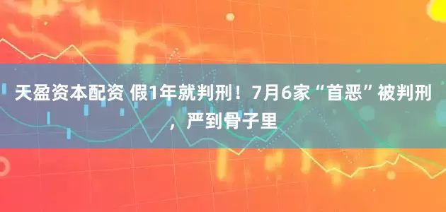 天盈资本配资 假1年就判刑！7月6家“首恶”被判刑，严到骨子里