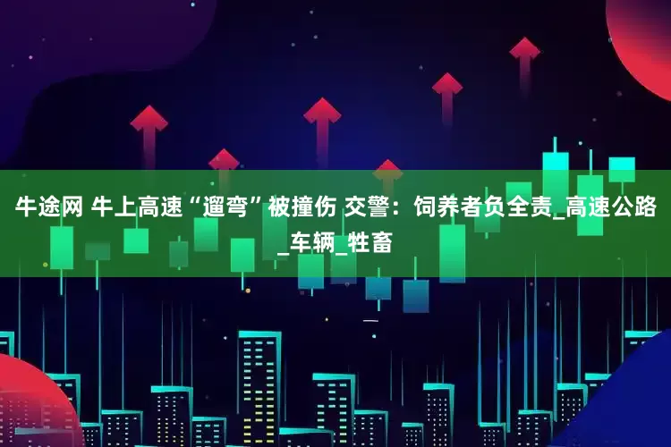 牛途网 牛上高速“遛弯”被撞伤 交警：饲养者负全责_高速公路_车辆_牲畜