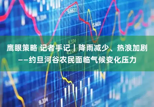鹰眼策略 记者手记｜降雨减少、热浪加剧——约旦河谷农民面临气候变化压力