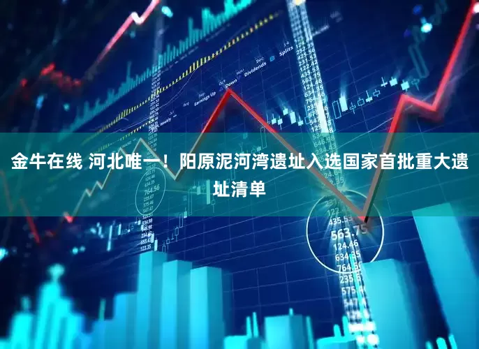 金牛在线 河北唯一！阳原泥河湾遗址入选国家首批重大遗址清单