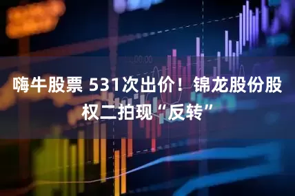 嗨牛股票 531次出价！锦龙股份股权二拍现“反转”
