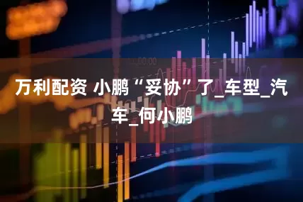 万利配资 小鹏“妥协”了_车型_汽车_何小鹏