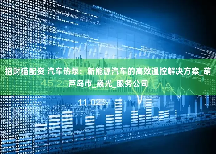 招财猫配资 汽车热泵：新能源汽车的高效温控解决方案_葫芦岛市_巍光_服务公司