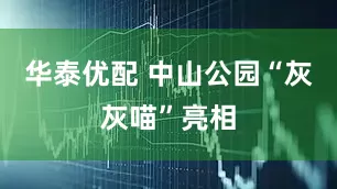 华泰优配 中山公园“灰灰喵”亮相